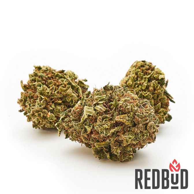 redbud marijuana light