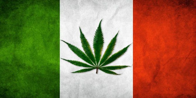 cannabis italia