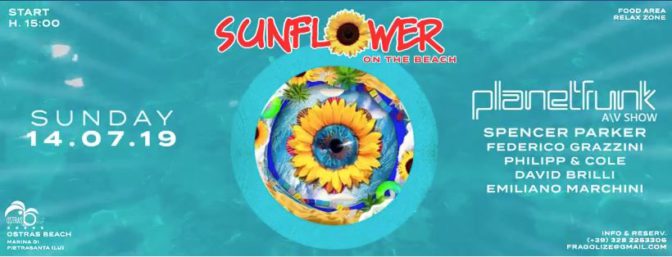 sunflower versilia